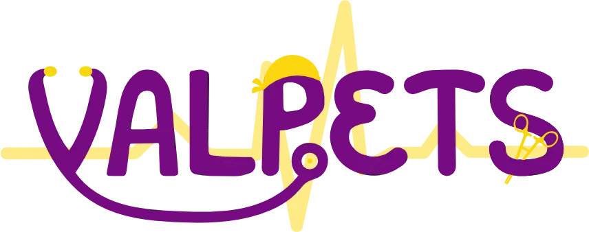 valpetscr